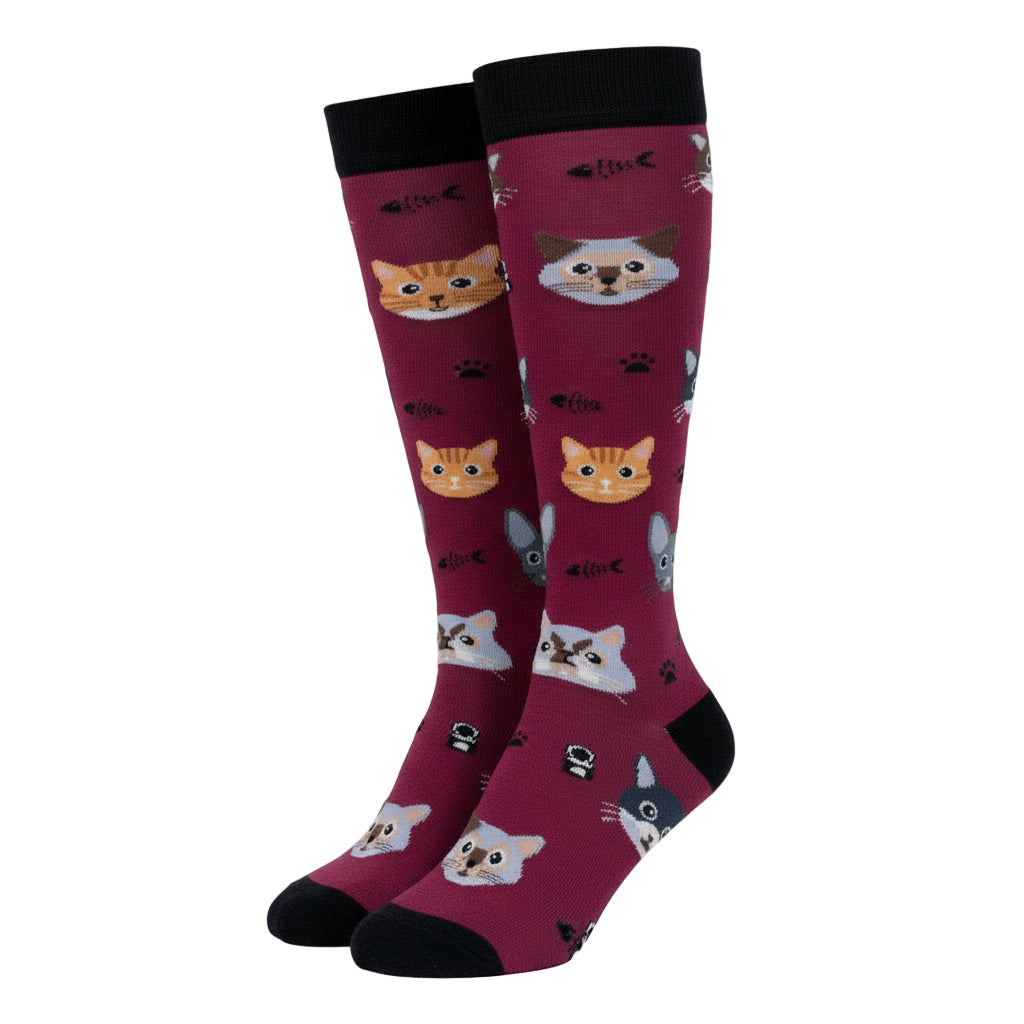 Cute Cats Knee High Socks