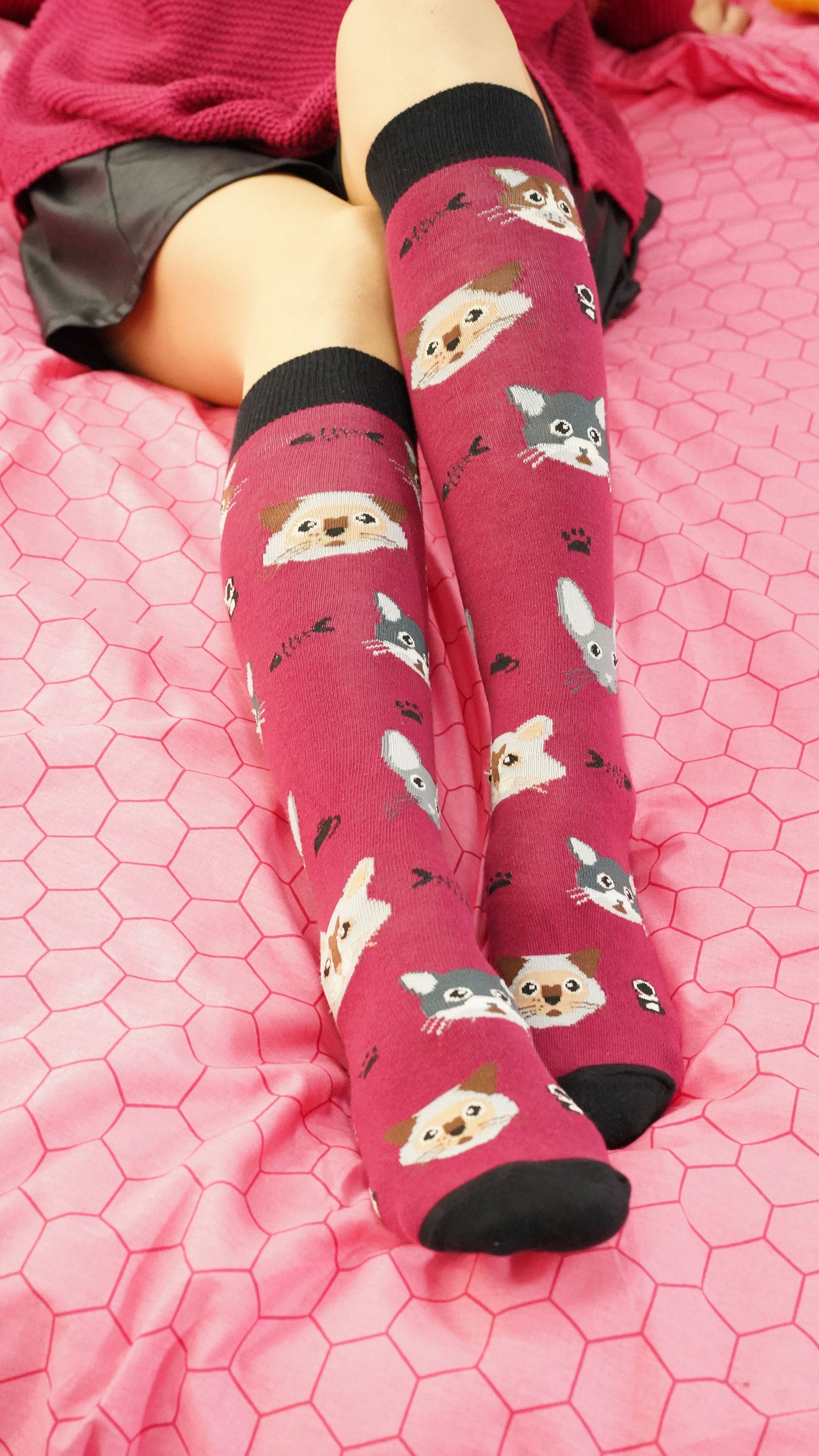 Cute Cats Knee High Socks