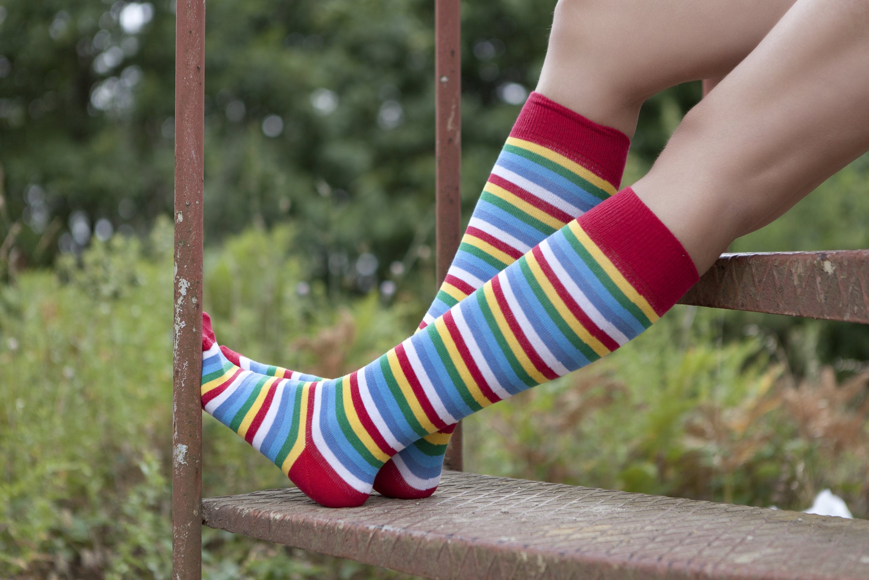 Cherry Stripe Knee High Socks