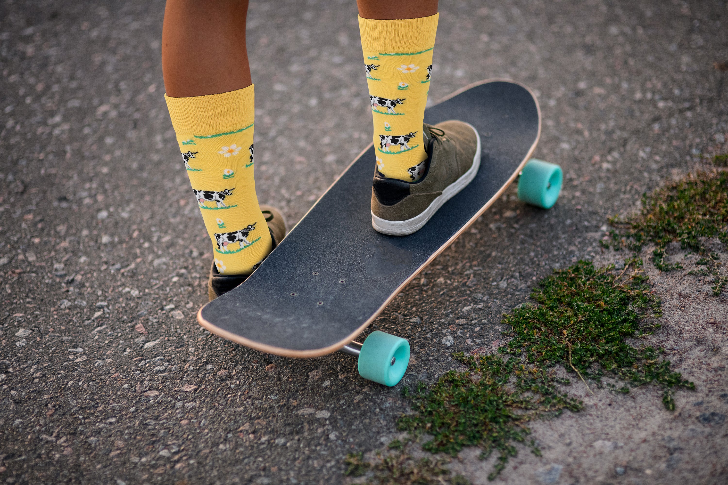 Cow Design Casual Crew Socks